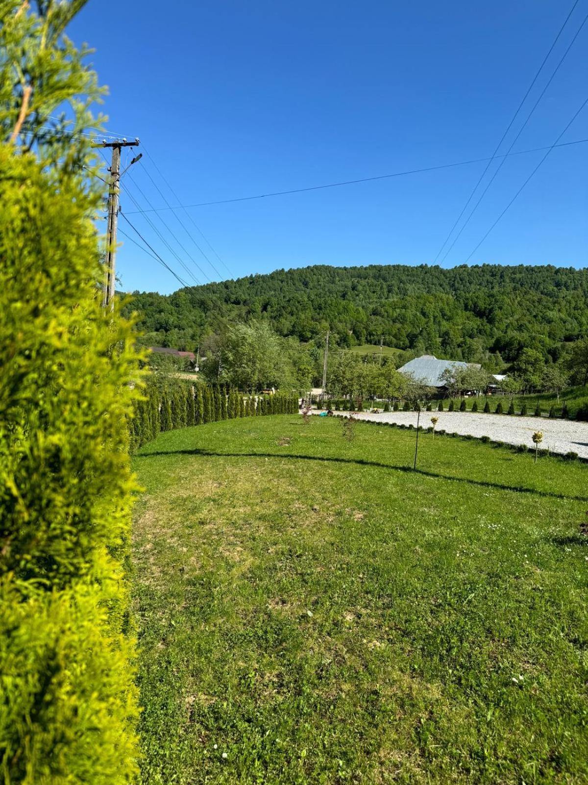 Flori De Tei Maramures Săcel Exterior foto
